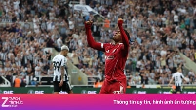 Ngumoha stellt Rekord auf, Chelsea verbannt Liverpool-Scout wütend