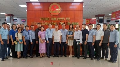 Das Ministerium für Wissenschaft und Technologie löst direkt die Schwierigkeiten bei der Führung einer Zwei-Ebenen-Regierung in Tay Ninh