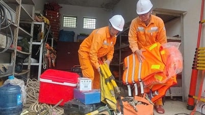 Northern Electricity reagiert proaktiv und stellt das Stromnetz nach Sturm Nr. 5 aktiv wieder her