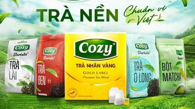 Cozy Barista Tea – Une solution économique pour le secteur de la restauration pendant la « tempête des prix »