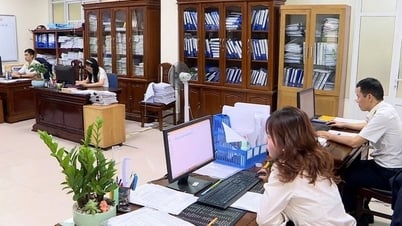 Ngành Thuế Hải Phòng vận hành ổn định theo mô hình chính quyền mới