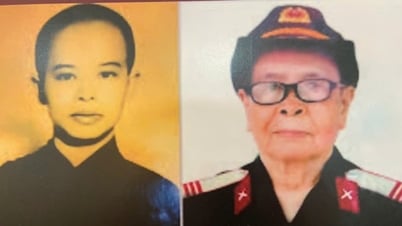 サイゴン特殊部隊の兵士だった尼僧とホアロー刑務所の元囚人だった僧侶の物語