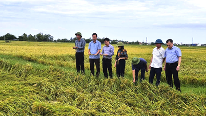 Chủ động khôi phục sản xuất sau mưa lũ