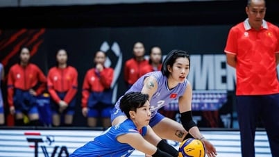 Polen besiegt Kenia, Vietnams Frauen-Volleyballteam scheidet aus