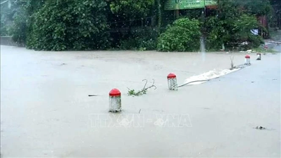 Mobilizing 26 emergency drainage pumping stations in the North and North Central regions