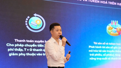Đà Nẵng: Thử nghiệm có kiểm soát phần mềm “Basal Pay”