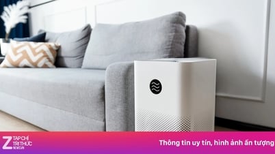 Cú lừa của máy lọc không khí