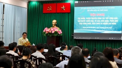 Ciudad Ho Chi Minh: Formación sobre recepción ciudadana, resolución de quejas y denuncias en el ámbito de la cultura y el deporte