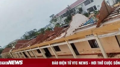 中部地域の数百の教育施設が嵐5号で壊滅的な被害を受けた