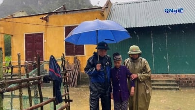 พายุลูกที่ 5 สร้างความเสียหายอย่างหนักในกวางตรี
