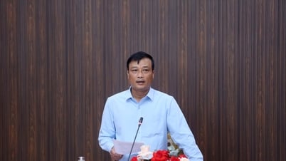 Tăng cường công chức, viên chức Sở Nông nghiệp và Môi trường về địa phương hỗ trợ