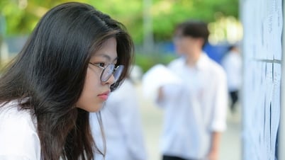 많은 실수, 많은 지원자들이 대학 합격에서 낙제로 전락했습니다.