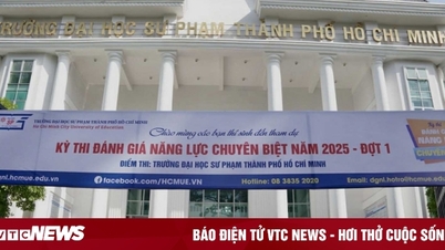 How does Ho Chi Minh City University of Education propose to solve the problem of virtual admissions?