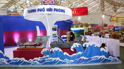 ความประทับใจจากไฮฟองในงานนิทรรศการความสำเร็จแห่งชาติ