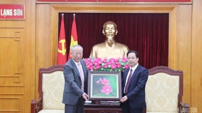 省党書記は中国の太平洋建設グループと協力