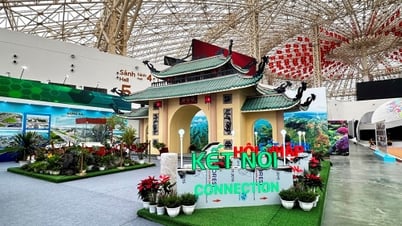 Impact of storm No. 5, adjusting the opening location of the National Achievement Exhibition