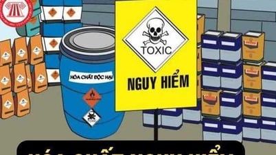 Tuyên truyền, phổ biến nâng cao ý thức trong việc sản xuất, kinh doanh, sử dụng hóa chất