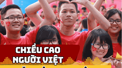 Um wie viel hat die Körpergröße der Vietnamesen im letzten Jahrzehnt zugenommen?