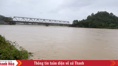 Tăng mức báo động III trên sông Mã tại trạm thủy văn Lý Nhân