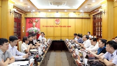 Bac Ninh fördert Litschi-Export auf den nordamerikanischen Markt
