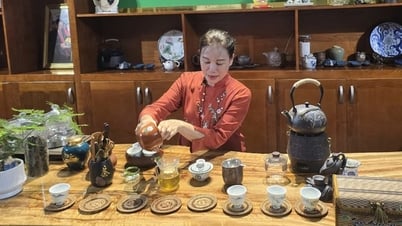 녹차싹의 혁신과 창의성