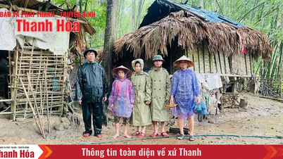 Cán bộ, hội viên phụ nữ xung kích trong chống bão, phục vụ hậu cần
