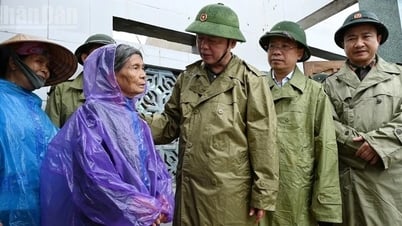 Deputy Prime Minister Tran Hong Ha inspects the work of overcoming the consequences of storm No. 5