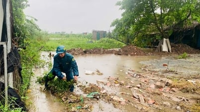 Hoai Duc: Proaktive Reaktion auf und Minimierung der durch Sturm Nr. 5 verursachten Schäden