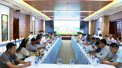 Lao Cai: Konferenz stellt Biomassepotenzial vor und eröffnet Möglichkeiten für die Entwicklung grüner Energie
