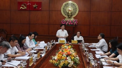 Strengthening coordination in responding to climate change and protecting the environment