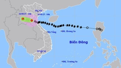 La tempête n° 5 s'affaiblit en dépression tropicale, mais les régions du Nord et du Centre connaissent encore de fortes pluies.