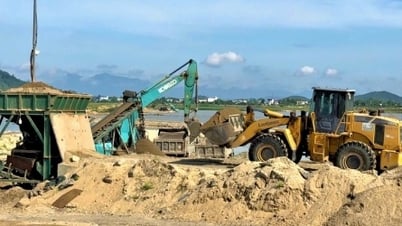 Quang Ngai: Don't let lack of materials affect project progress