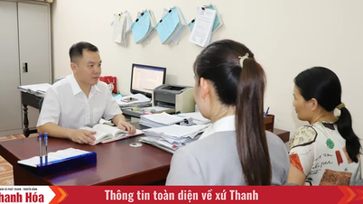 Quan tâm hỗ trợ tòa án khu vực trong xét xử, giải quyết án hành chính