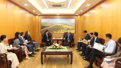 Die Stimmung der Bevölkerung ist die Grundlage der umfassenden strategischen Partnerschaft zwischen Vietnam und Korea