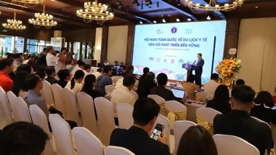 Building Vietnam into a health care hub...