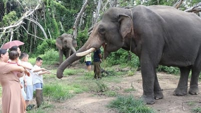 Connecting island tourism with the culture of the Central Highlands