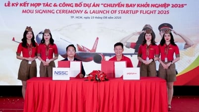 Vietjet “Startup Flight”, Vietnam - India innovation