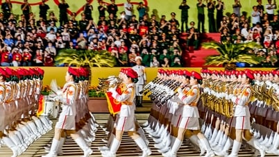 Đài Truyền hình Việt Nam thông báo về việc tiếp sóng truyền hình trực tiếp lễ diễu binh, diễu hành