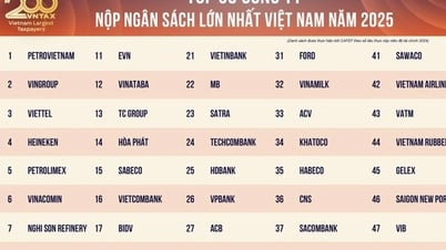 200 شركة ذات أكبر مساهمات في الميزانية في فيتنام: إجمالي المساهمة 794,000 مليار دونج