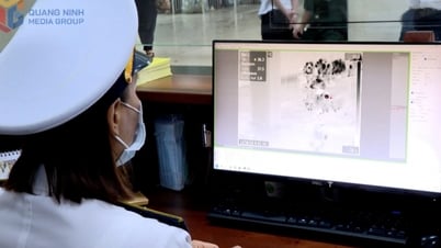 Ensuring safety and disease prevention at border gates