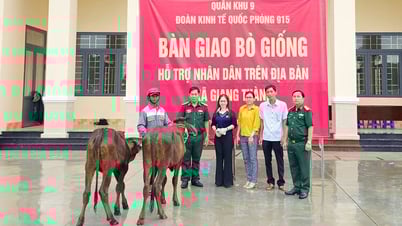 กลุ่มเศรษฐกิจการป้องกันประเทศ 915 มอบวัวพันธุ์ 100 ตัว ให้กับประชาชนในตำบลซางถัน