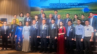 Du lịch - Cầu nối cảm xúc trong mối quan hệ gắn bó Việt - Hàn