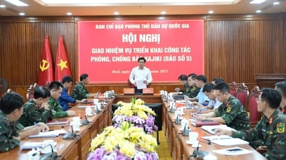 ផ្តោតលើការយកឈ្នះលើផលវិបាកនៃព្យុះលេខ 5