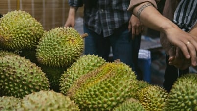 Giá sầu riêng hôm nay 26/8: Ri6 bật tăng, Thái nhích nhẹ