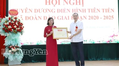 도공동체: 19개의 전형적인 선진 집단과 개인을 칭찬합니다.