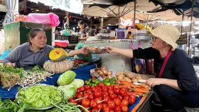 Новая земля, новая радость