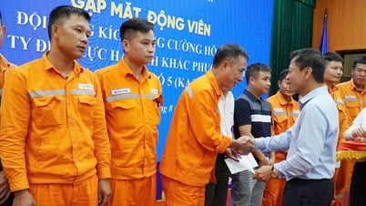 บริษัทไฟฟ้าบั๊กนิญส่งทีม Shock Team ช่วยเหลือจังหวัดห่าติ๋ญแก้ไขปัญหาไฟฟ้าหลังพายุลูกที่ 5