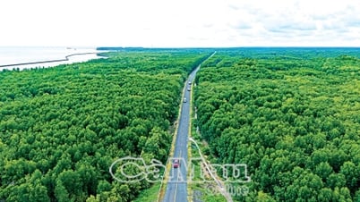 ផ្លូវនៃមហិច្ឆតាទៅឆ្ងាយ