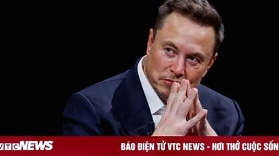 Technologie 26.08.: Elon Musk verklagt Apple und OpenAI