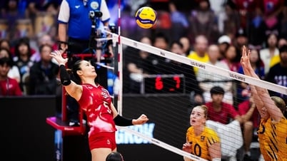 Lịch thi đấu bóng chuyền nữ thế giới hôm nay 26.8: Italia, Brazil, Thái Lan, Mỹ hướng đến ngôi đầu